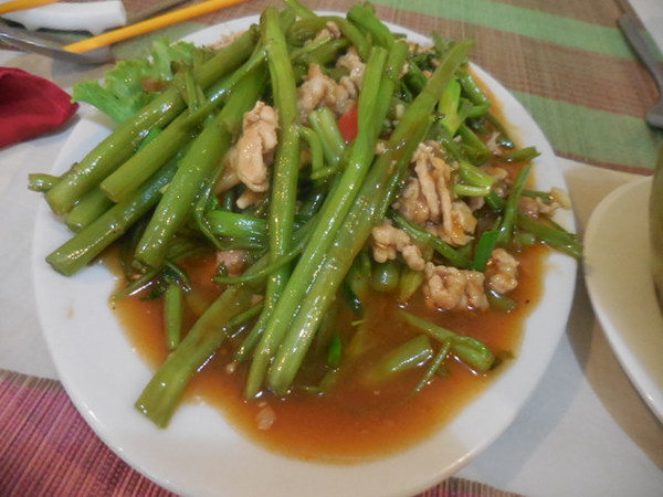 DSCN0109.JPG