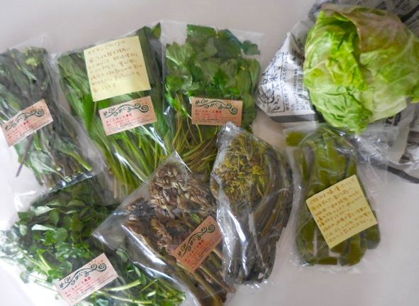 DSCN11240.jpg