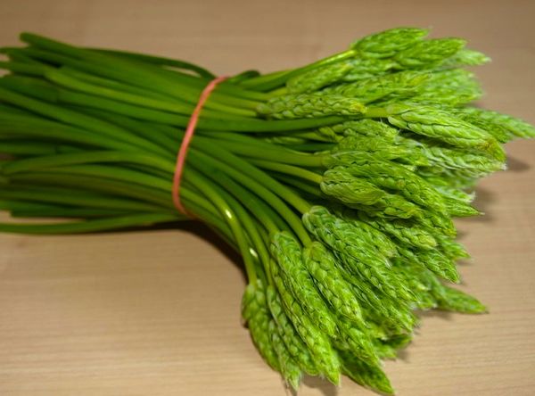 Asperge.jpg