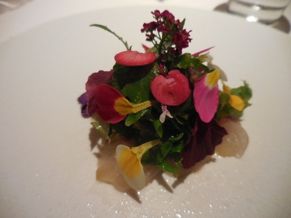 DSCN1327.JPG