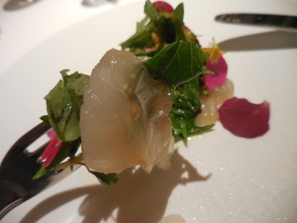 DSCN1328.JPG