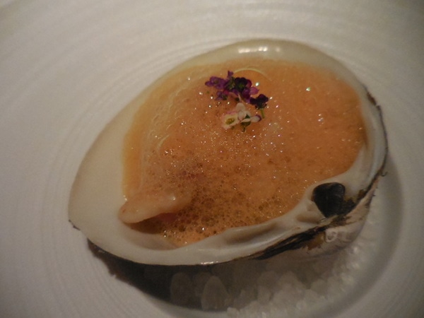 DSCN1331.JPG