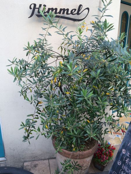 IMG1_1090_2.jpg