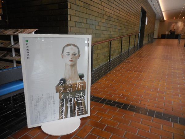DSCN11598.jpg