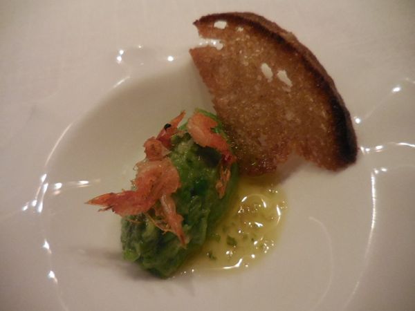 DSCN11736.jpg