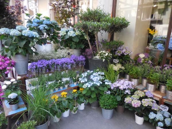 DSCN12603.jpg