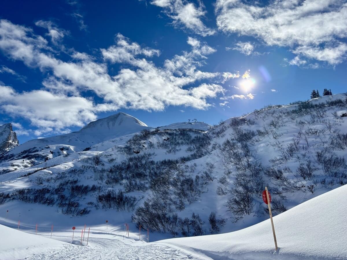 ❄︎❄︎❄︎❄︎❄︎ Niseko🧊 滞在後半は雪がすごかった