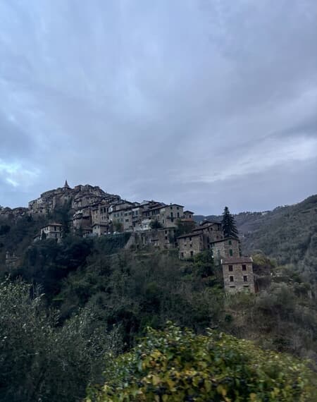 IMG_3277.jpeg