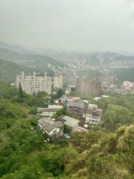IMG_7151.jpeg