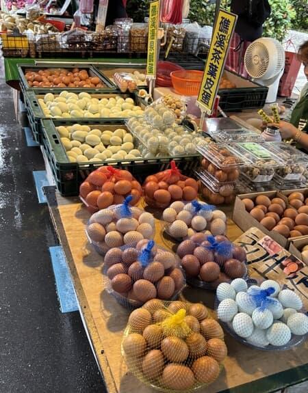 IMG_7132.jpeg
