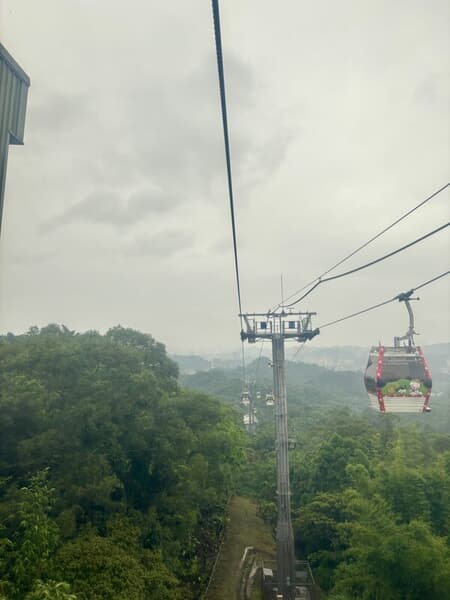 IMG_7150.jpeg