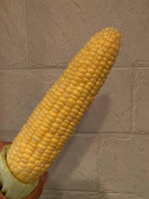 %gHn64tWTLCid8YftiE1gg.jpg