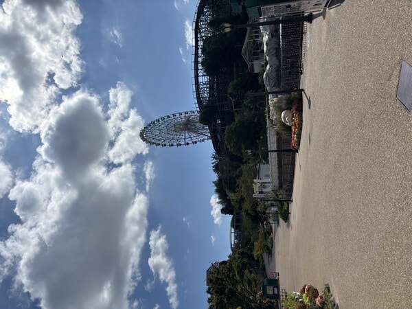 IMG_8677.jpeg