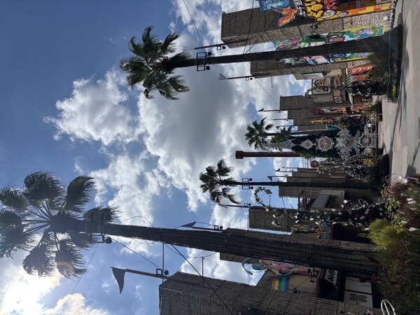 IMG_8680.jpeg