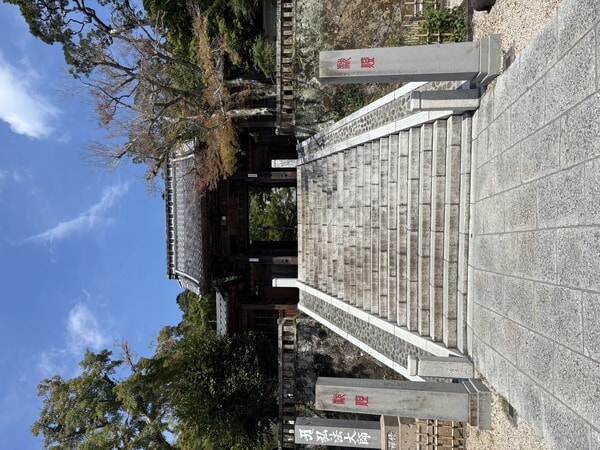 IMG_8126.jpeg