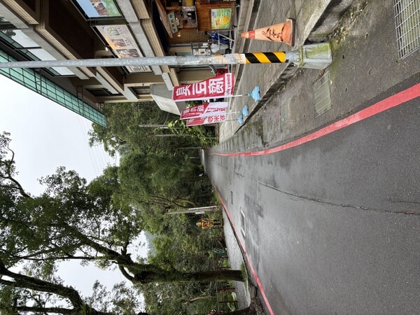 IMG_7155.jpeg