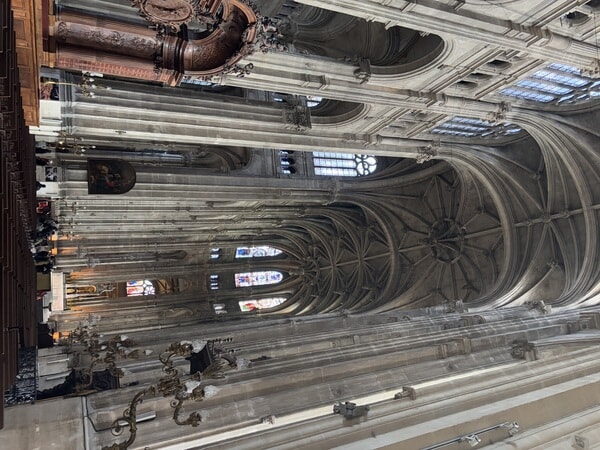 IMG_9352.jpeg