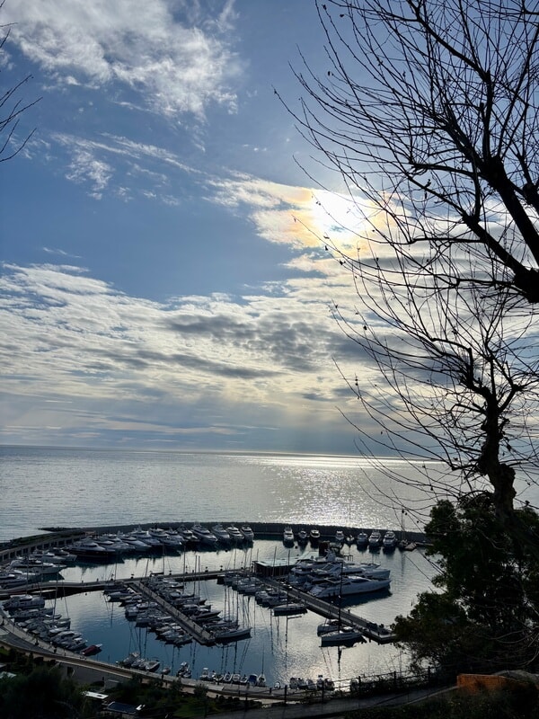 IMG_3229.jpeg
