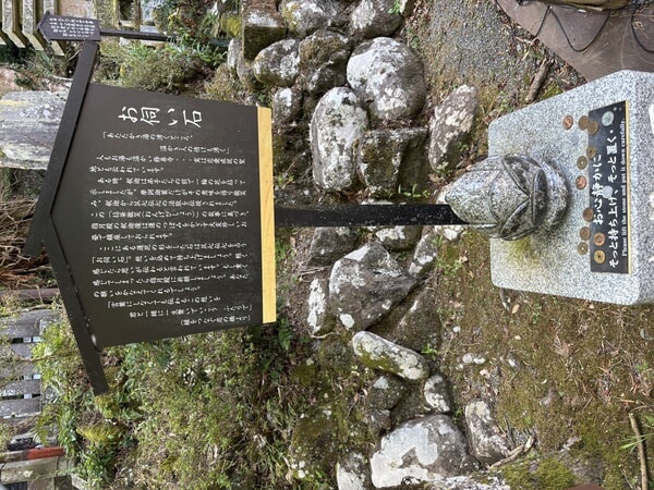 IMG_8095.jpeg