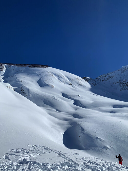 IMG_5206 copy.jpg