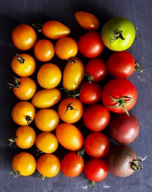 30-idees-pour-sublimer-la-tomate copy.jpg