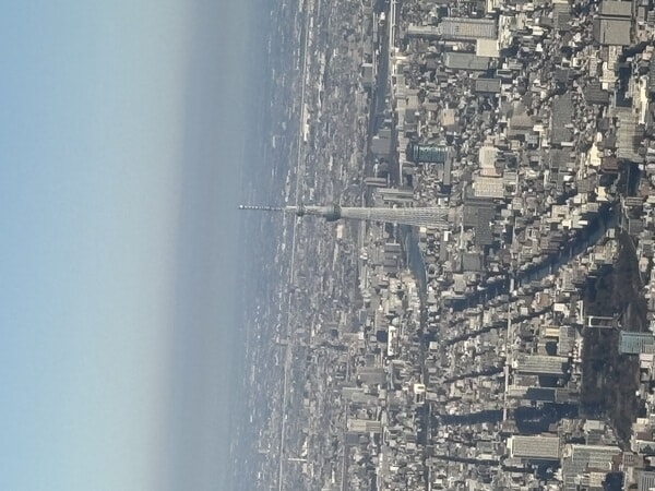 IMG_9026.jpeg