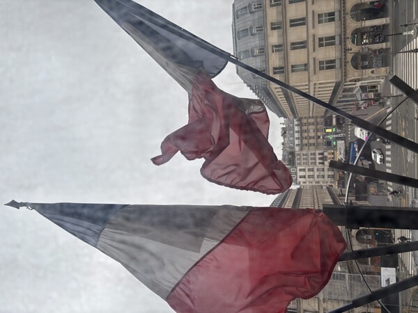 IMG_4895.jpeg