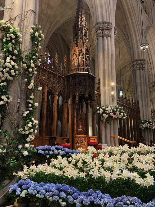 IMG_7751 copy.jpg