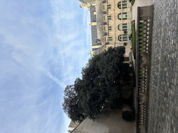 IMG_4583.jpeg