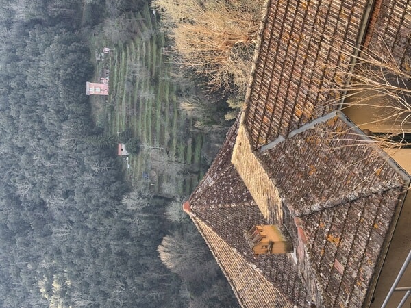 IMG_9286.jpeg