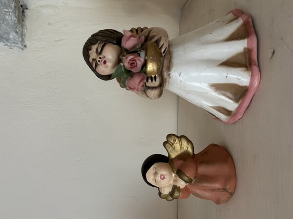 IMG_3339.jpeg