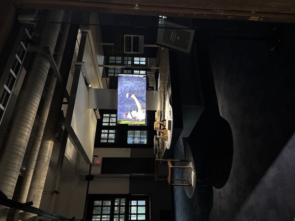 IMG_6892.jpeg