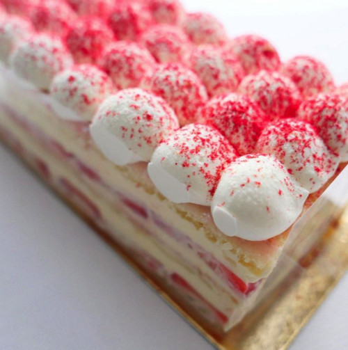 スクリーンショット 2021-03-05 10.11.55.jpg