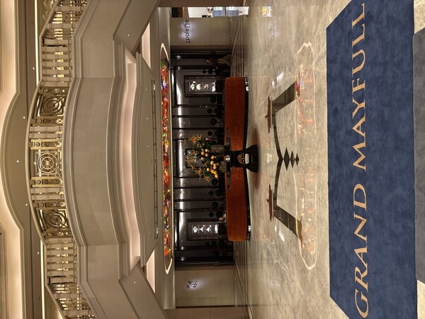 IMG_7237.jpeg