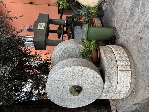 IMG_3216.jpeg
