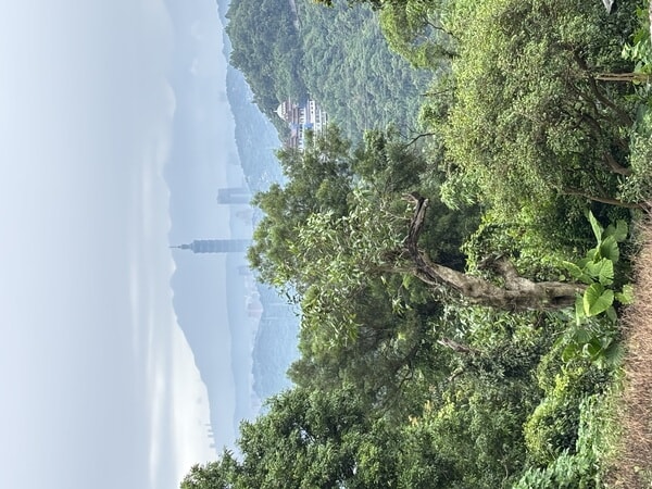IMG_7194.jpeg