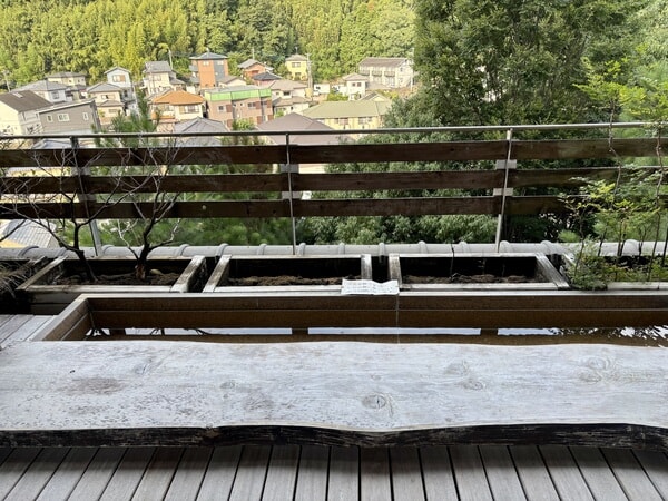IMG_8079.jpeg
