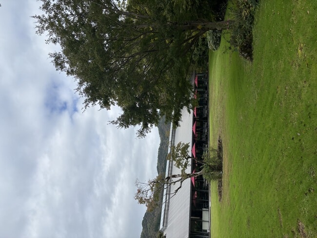 IMG_0178.jpeg