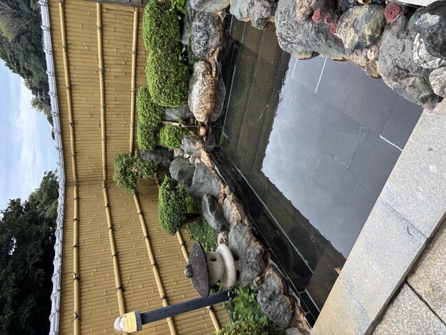 IMG_0450.jpeg