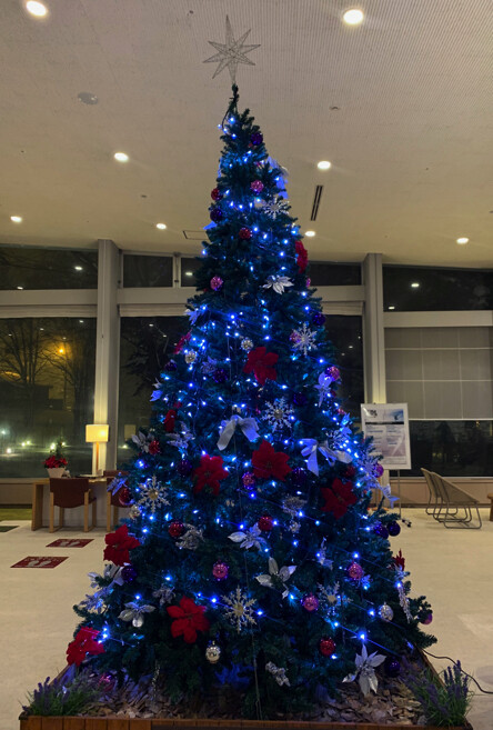 IMG_1527 copy.jpg