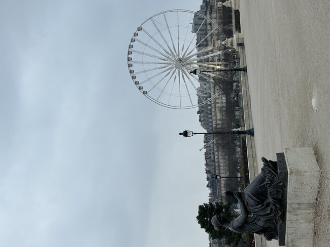 IMG_2768.jpeg
