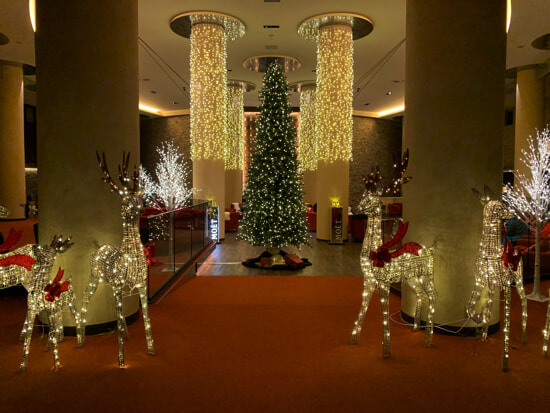 IMG_2993 copy.jpg