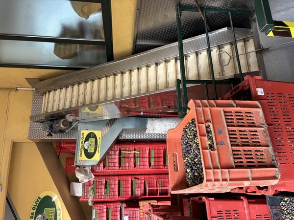 IMG_3214.jpeg