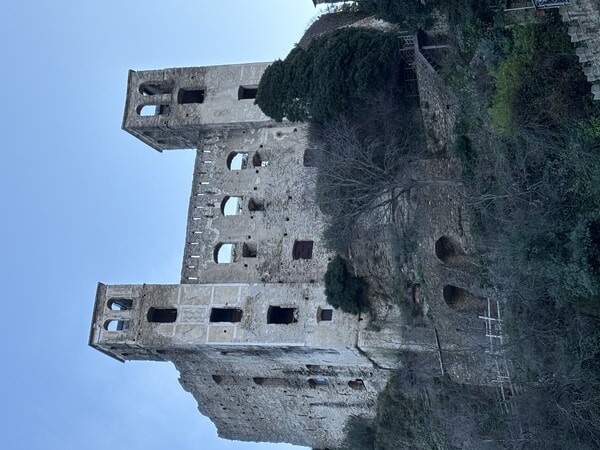 IMG_3342.jpeg