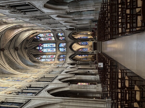 IMG_3617.jpeg