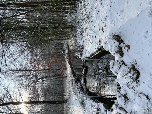 IMG_3814.jpeg