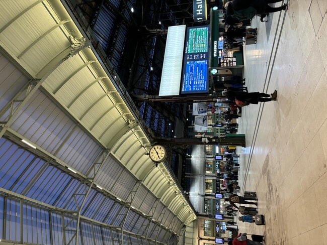IMG_3910.jpeg