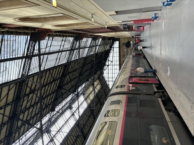 IMG_3931.jpeg