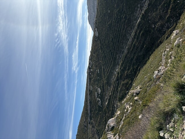 IMG_4305.jpeg