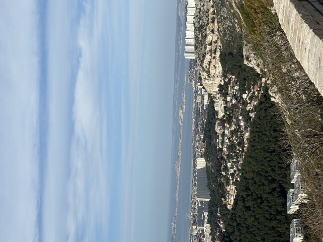IMG_4306.jpeg